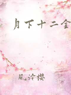 月下十二金钗