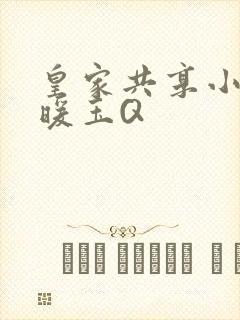 皇家共享小公主暖玉Q