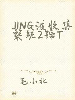 JING液收集系统2号T