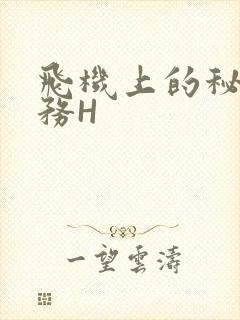 飞机上的秘密服务H