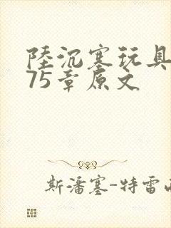 陆沉塞玩具高速75章原文