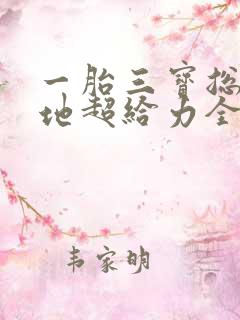 一胎三宝总裁爹地超给力全文免费阅读