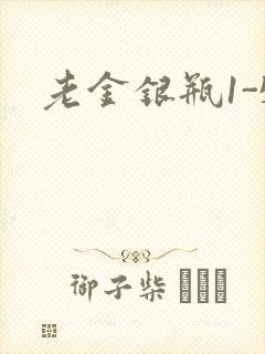 老金银瓶1-5