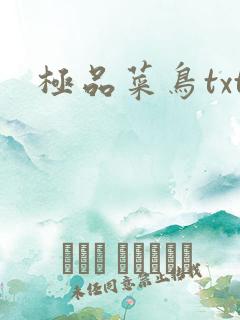 极品菜鸟txt