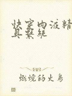 快穿肉液精华玩具系统