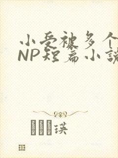 小受被多个攻强NP短篇小说