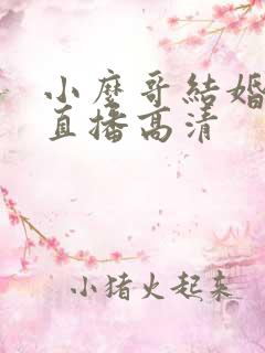 小么哥结婚视频直播高清