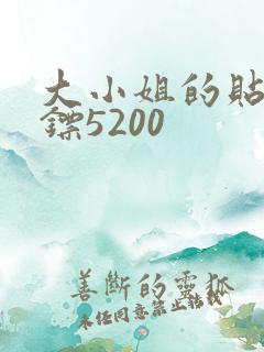 大小姐的贴身保镖5200
