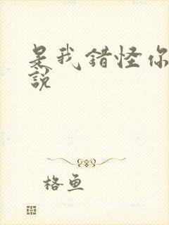 是我错怪你了小说