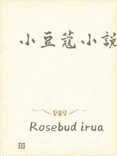 小豆蔻小说