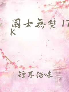 国士无双 17K