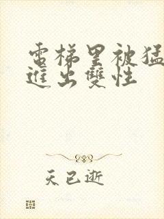 电梯里被猛烈的进出双性