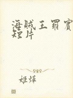 海贼王罗宾被h短片