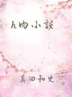 h肉小说
