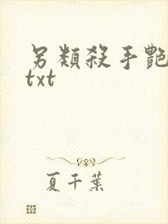 另类杀手艳福星txt