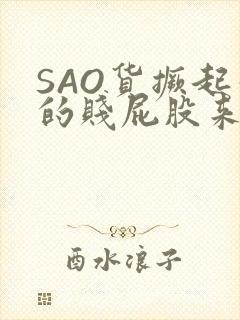 SAO货撅起你的贱屁股来