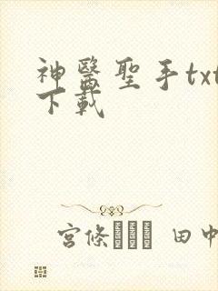 神医圣手txt下载
