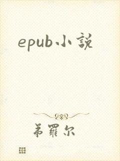 epub小说