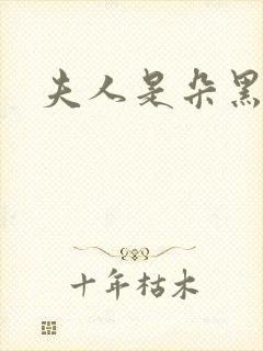 夫人是朵黑心莲