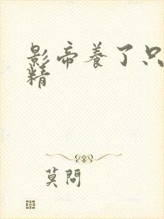 影帝养了只玫瑰精