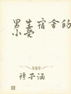 男生宿舍的公共小受