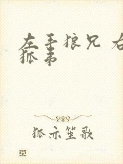 左手狼兄 右手狐弟