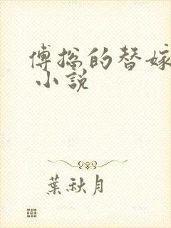 傅总的替嫁娇妻 小说