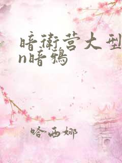 暗卫营大型hpn暗鸦