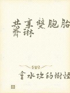 共享双胞胎齐娜齐琳