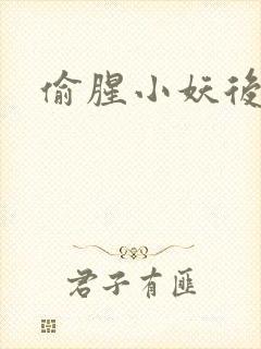 偷腥小妖后