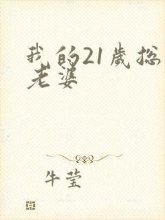 我的21岁总裁老婆