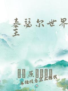 泰瑟尔世界之领主