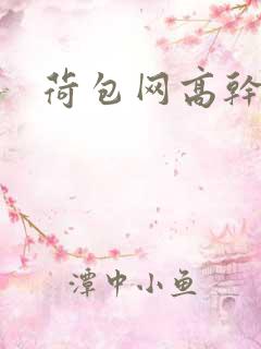 荷包网高干文