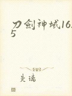 刀剑神域16.5