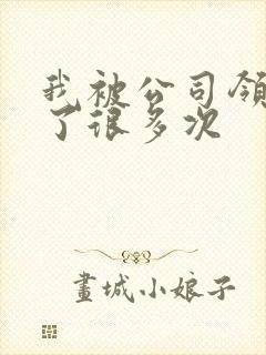 我被公司领导C了很多次