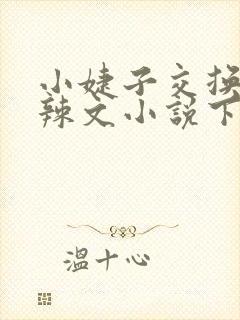 小婕子交换系列辣文小说下载