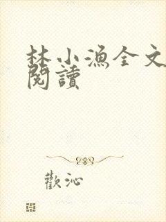 林小渔全文免费阅读