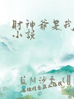 财神爷是我老板小说