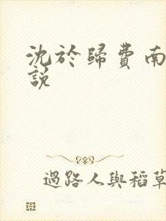 沈于归费南城小说