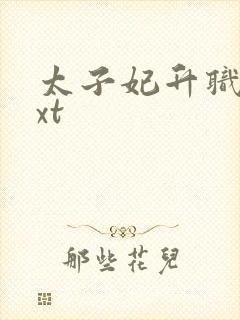 太子妃升职记txt