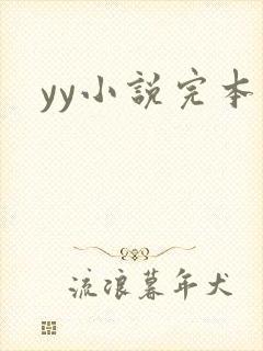yy小说完本