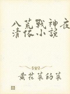 八荒战神夜麟云清依小说