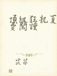 顶级狂龙夏天免费阅读