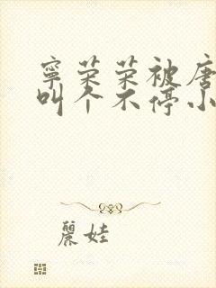 宁荣荣被唐三桶叫个不停小说