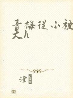 青梅从小被弄到大h