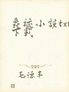 爵迹小说txt下载