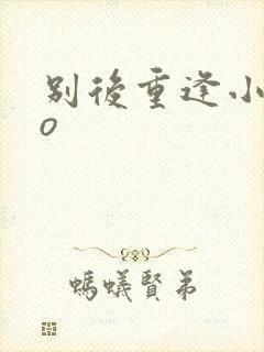 别后重逢小说po