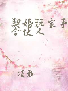 契婚玩家手册之合伙人