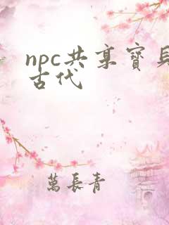 npc共享宝贝古代