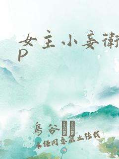 女主小妾卫府NP